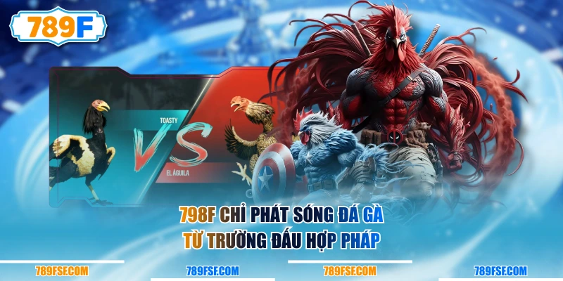 798F chỉ phát sóng Đá Gà từ trường đấu hợp pháp