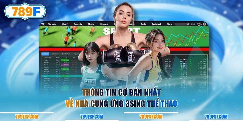 Thông tin cơ bản nhất về nhà cung ứng 3Sing Thể Thao